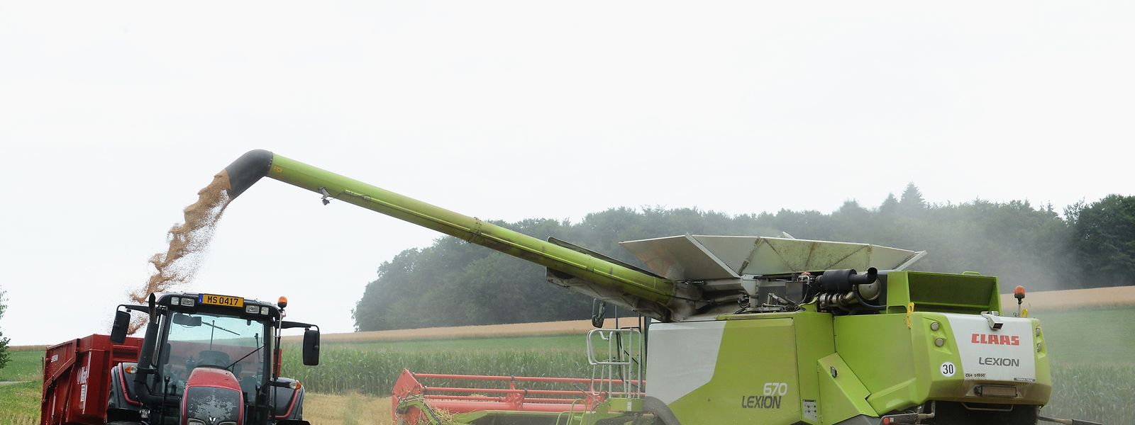 In Luxemburg wurden 2020 rund 140.000 Tonnen Getreide geerntet, etwa zehn Prozent weniger als im Vorjahr.