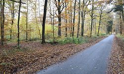 Mord Leudelingen Leudelange