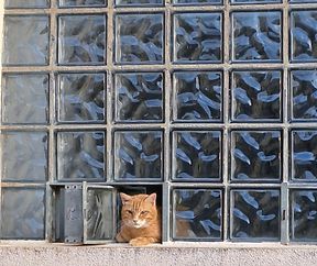 Virwetzeg eise Metti 