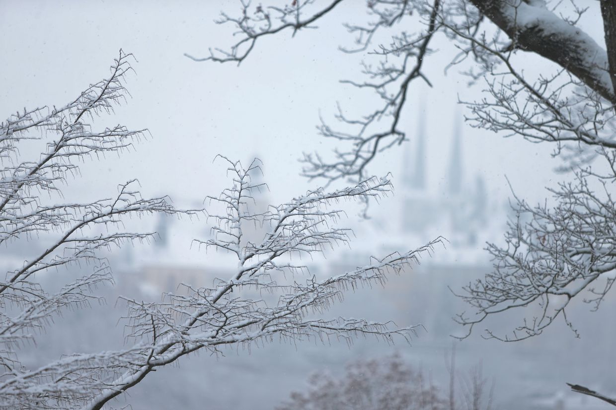 Lokales, Luxemburg, Winter, Schnee, Glätte, Glatteis, Kälte, Illustration, Schneefotos  photo Anouk Antony