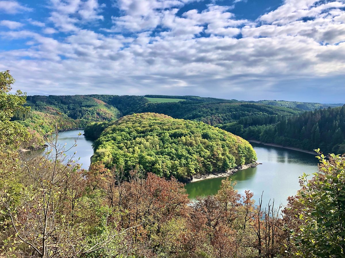 mywort-bei-b-iwen-lanscht-de-staus-i