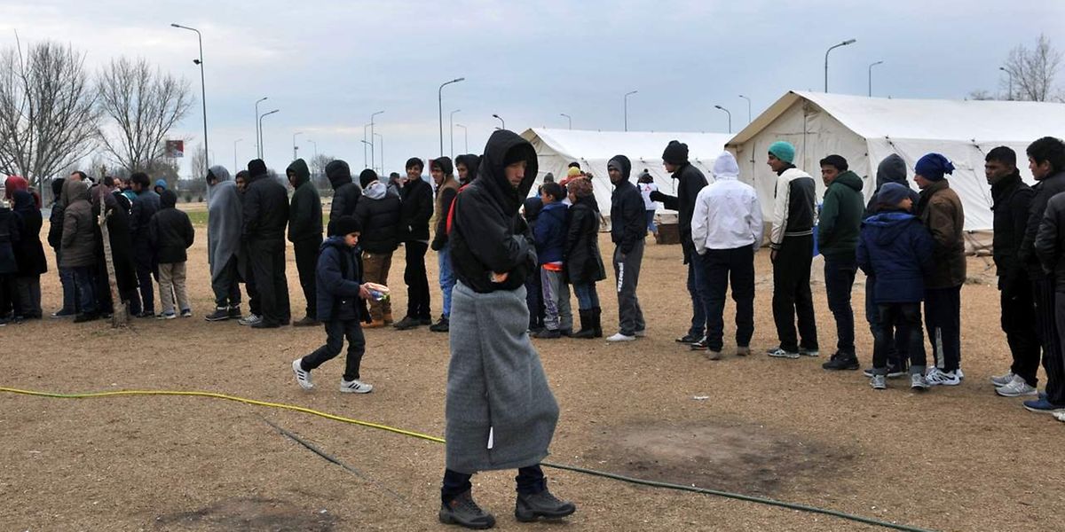 Des migrants font la queue pour recevoir à manger, en attendant de traverser la frontière gréco-macédonienne, le 20 janvier.