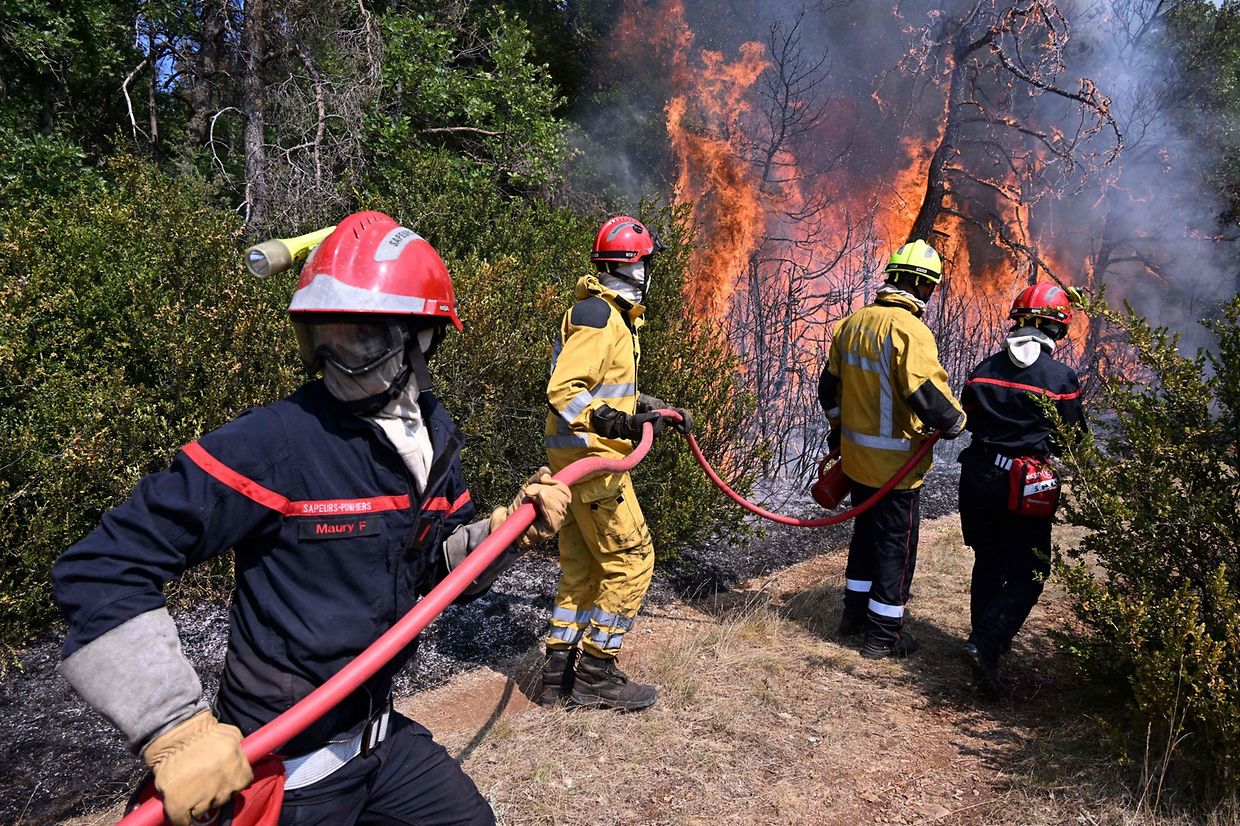 Le feu dans la Lozère et l'Aveyron est d'origine humaine. Il a ravagé 700 hectares de forêt dans le parc naturel régional des Grands Causses.