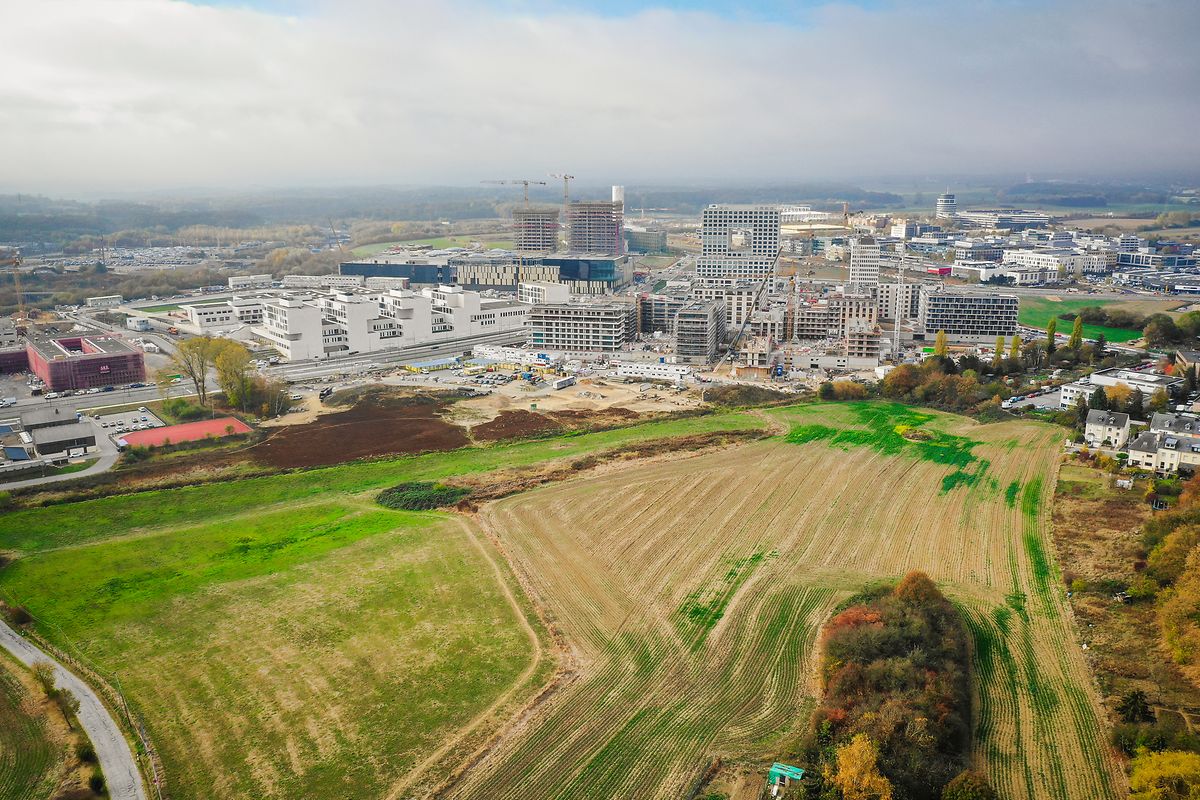 Lieu Tournage Et La Montagne Fleurira Le plus grand parc de Luxembourg fleurira en 2022