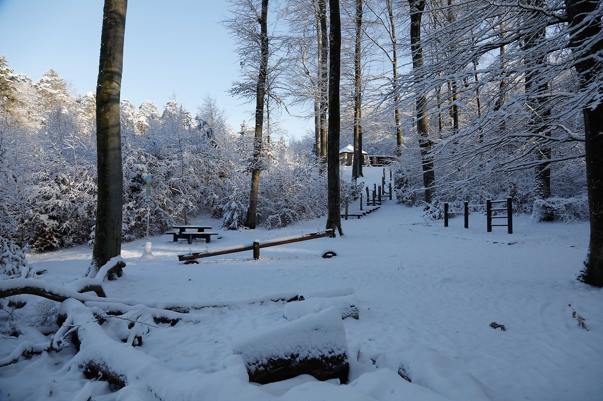 Illustration, Schnee, Winter, Winterlandschaft, Foto: Anouk Antony/Luxemburger Wort