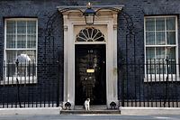 TOPSHOT - Larry the Downing Street cat sits on the step outside 10 Downing Street, the official residence of Britain's Prime Minister, in central London on July 8, 2022. - UK Prime Minister Boris Johnson on Thursday quit as Conservative party leader, after three tumultuous years in charge marked by Brexit, Covid and mounting scandals. Johnson, 58, announced that he would step down after a slew of resignations this week from his top team in protest at his leadership but would stay on as prime minister until a replacement is found. (Photo by CARLOS JASSO / AFP)