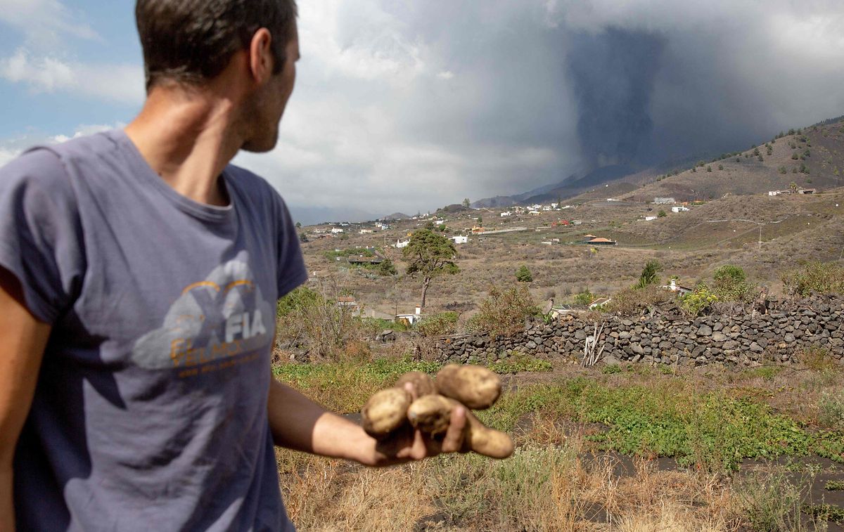 Bauern in Los Llanos de Aridane fürchten angesichts des aktiven Vulkans um ihre Ernten.