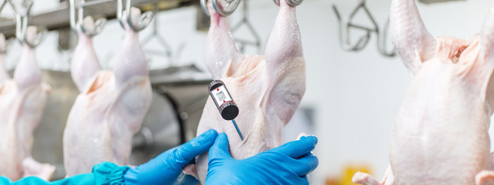 Die Verantwortung für die Lebensmittelsicherheit liegt zunächst bei den Betrieben.