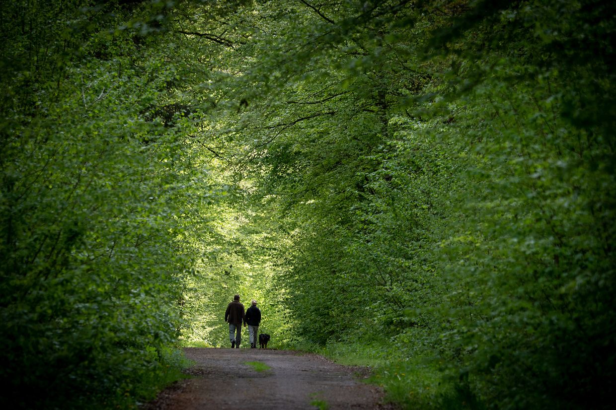 Sanem - Sanem -  - 05/05/2019 - photo: claude piscitelli