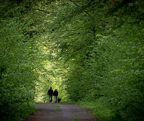 Sanem - Sanem -  - 05/05/2019 - photo: claude piscitelli