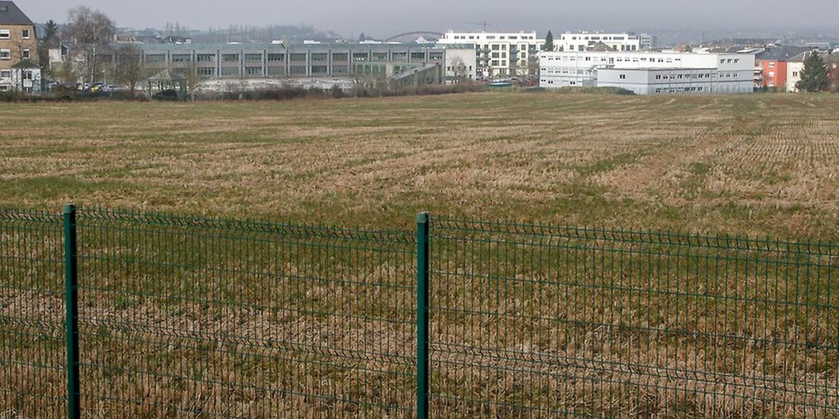 La construction se fera dans un champ à l'arrière des bâtiments existants 