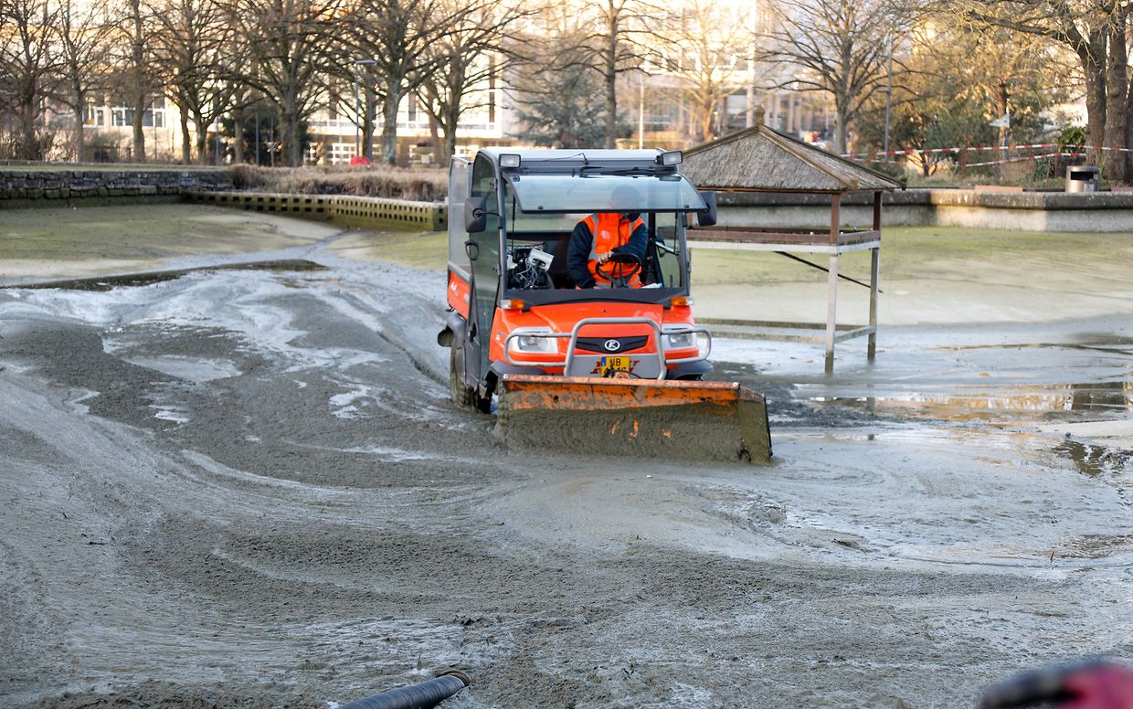 Im Laufe der Zeit hat sich jede Menge Schmutz - in der Hauptsache Exkremente der Tiere und Brotreste - angesammelt.