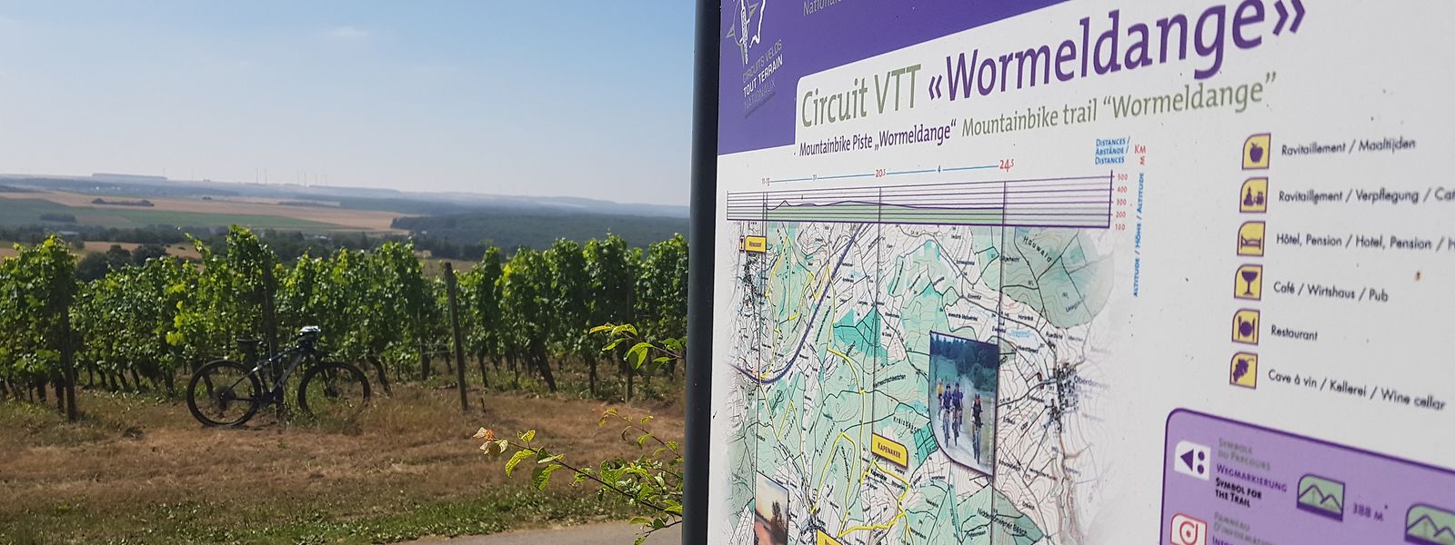 Le départ du circuit VTT se situe sur les hauteurs de Wormeldange.