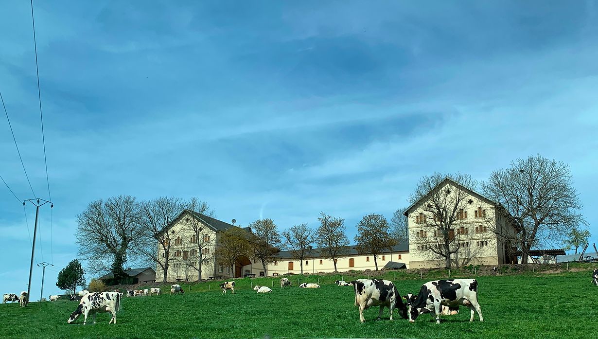 Download Imposanten Free