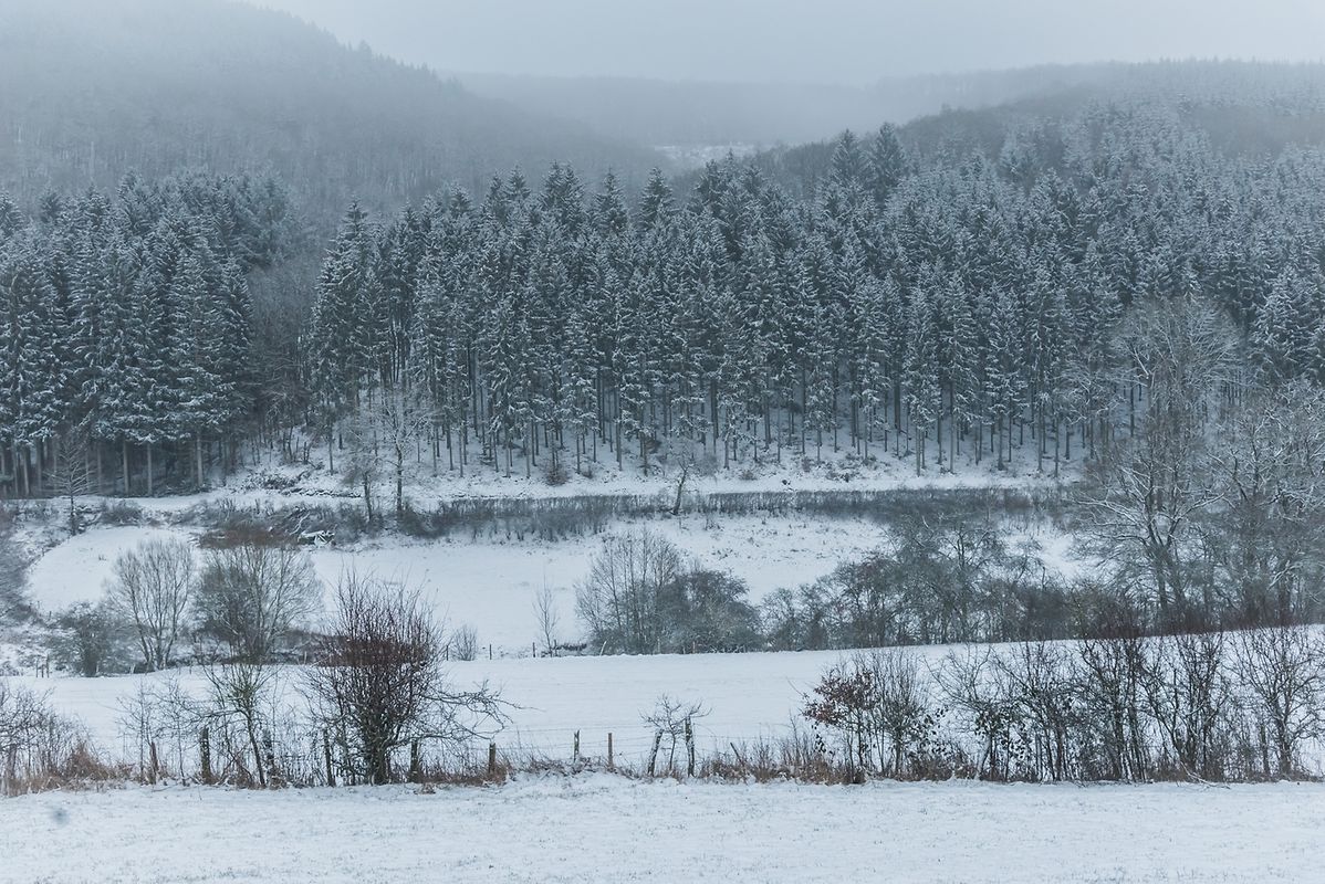 Rullingen und Büderscheid am Morgen bei Minus drei Grad und vier bis sechs Zentimeter Schnee. 
