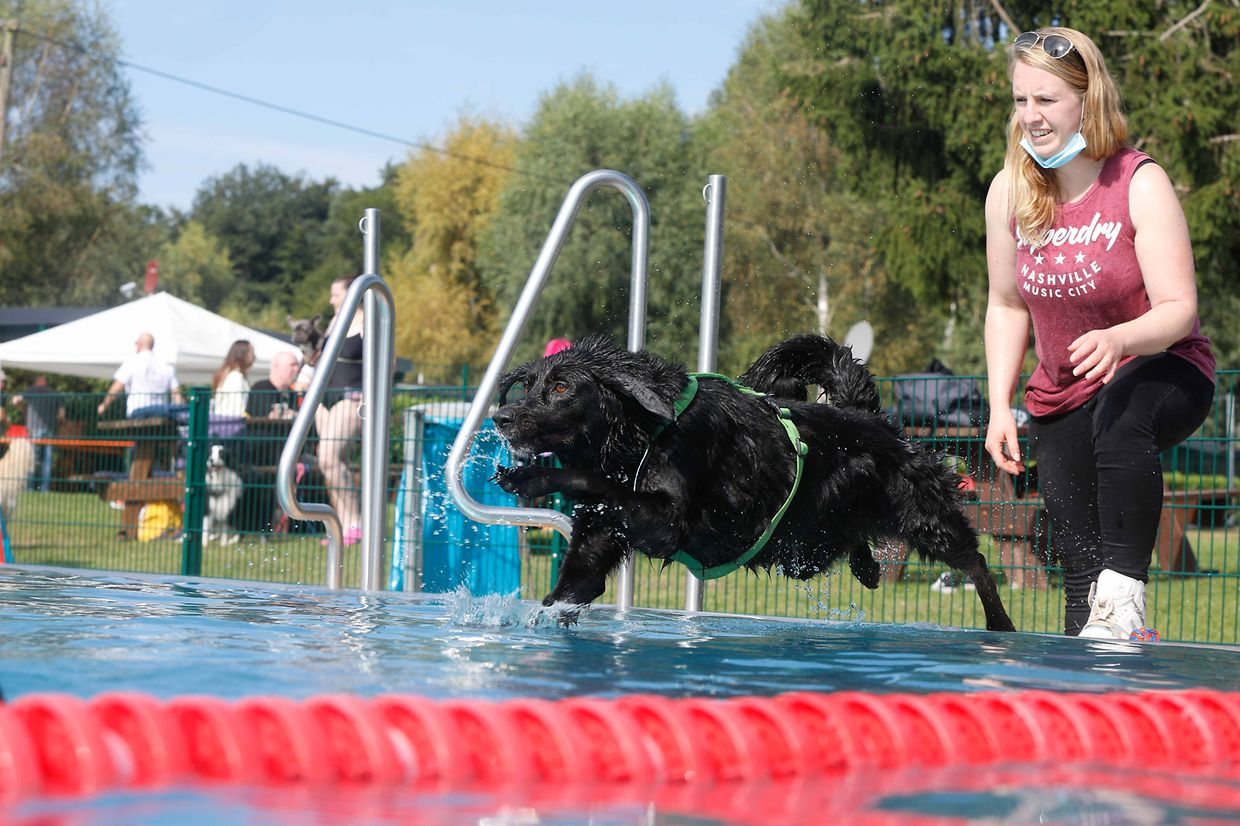 Lokales, Aqua Park, Schwimmbad, Hundeschwimmen, Badespass Foto: Luxemburger Wort/Anouk Antony