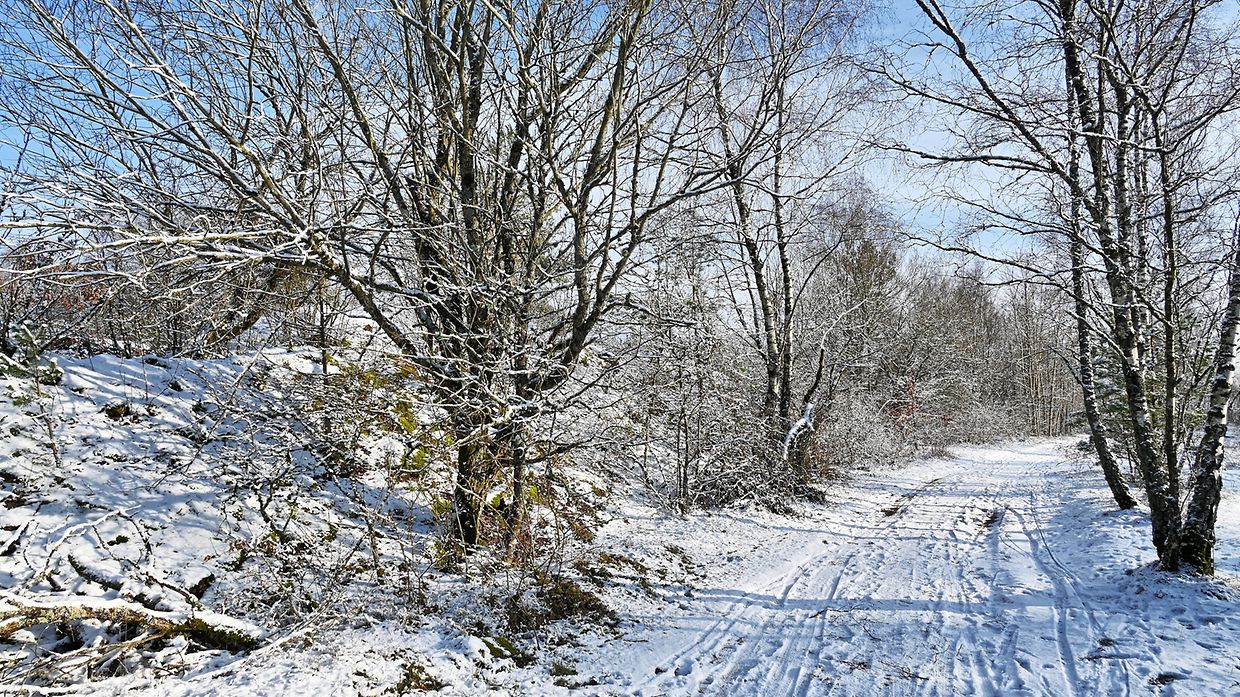 Single photo enhanced with easyHDR 3.16: 623_0407.JPG