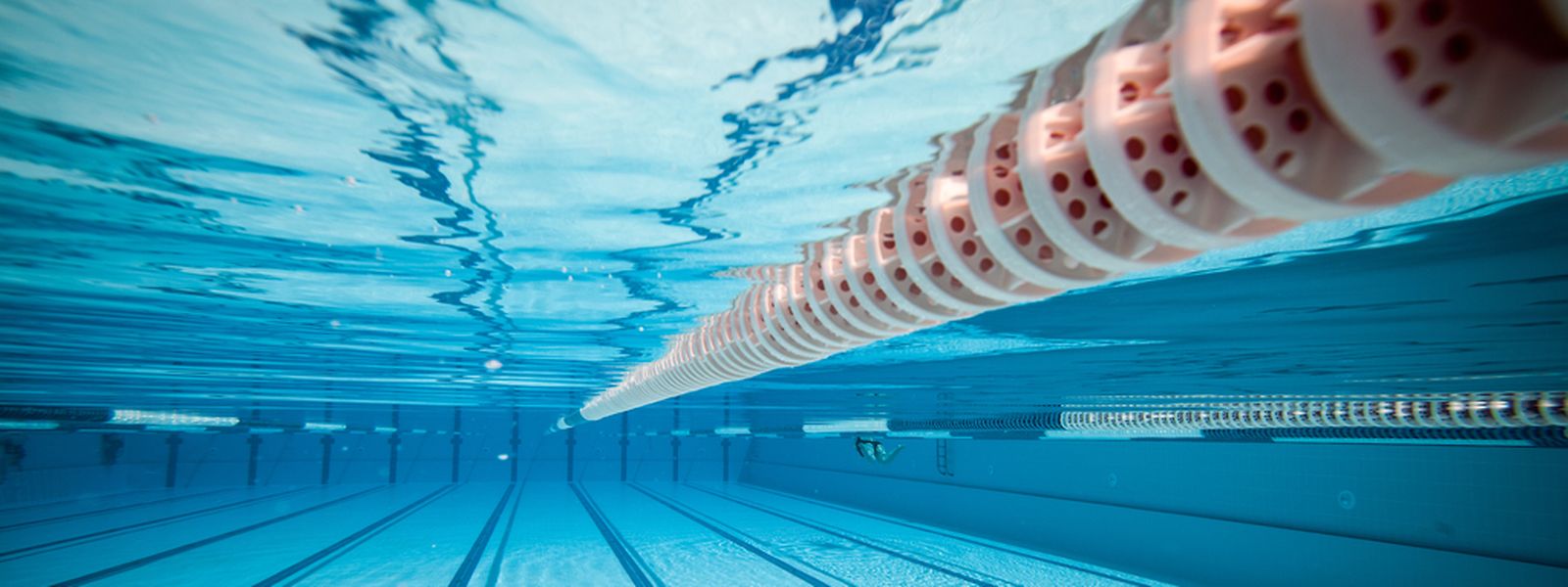 Das Lehrerweiterbildungsinstitut bietet u.a. auch einen Kurs in Rettungsschwimmen an.