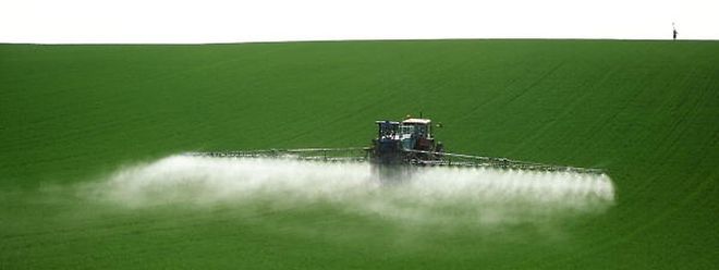 Der nationale Aktionsplan Pestizide formuliert zwar präzise Ziele, der Zeitrahmen ist allerdings weit gesteckt. 