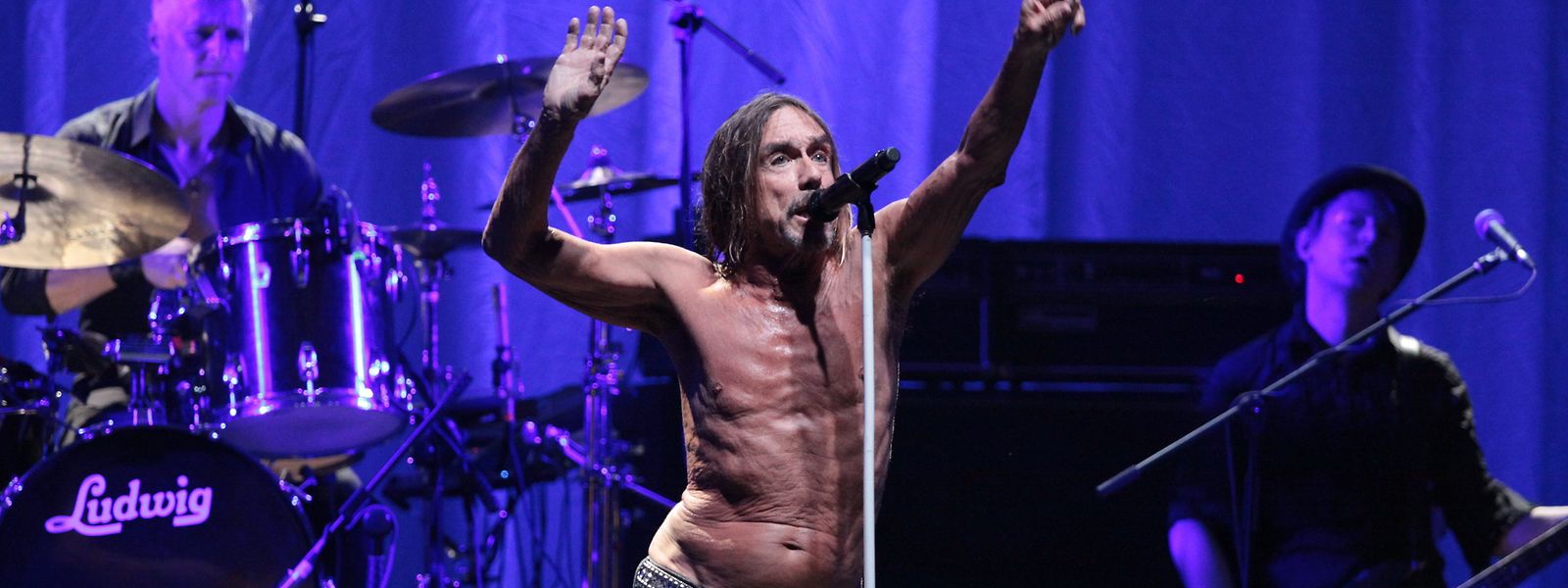 iggy pop singt gebandigt und altersmild