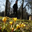 Illustration, Frühling, Frühjahr, Sonne, Foto: Luxemburger Wort/Anouk Antony