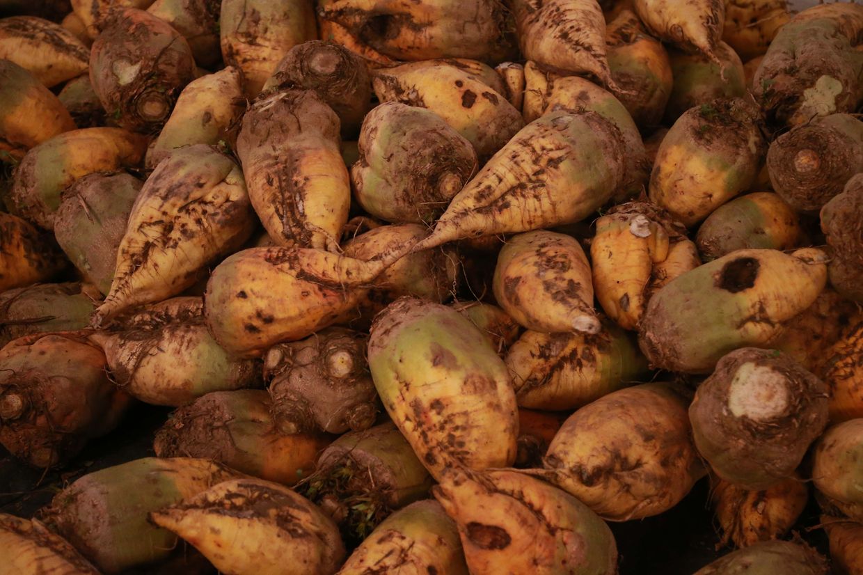 27.10.2018 Luxembourg,  Munshausen, bei der Robbesscheier, Trauliicht, Grusel, Geister Hintergrund der Geschichte, Geisterumzug,  photo Anouk Antony