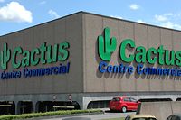Isabel Del Rio Rodriguez aus Spanien möchte "Cactus of Peace / Cactus de la Paz" in der EU als Marke eintragen lassen - die luxemburgische Einzelhandelskette Cactus ist nicht damit einverstanden.