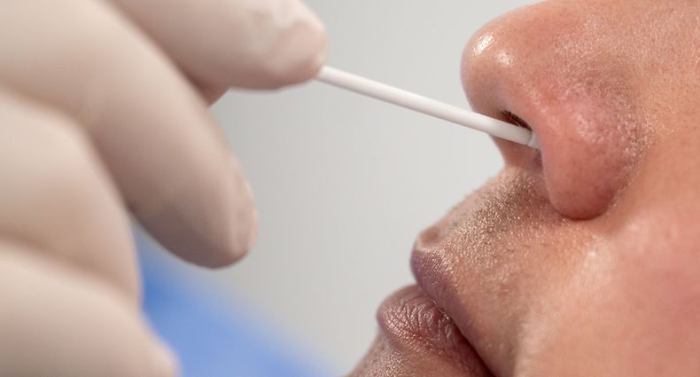 Mit den Petitionen zeigen die Bürger den Politikern, wo der Schuh drückt. Im vergangenen Jahr dominierte wegen der Corona-Krise das Thema Gesundheit.