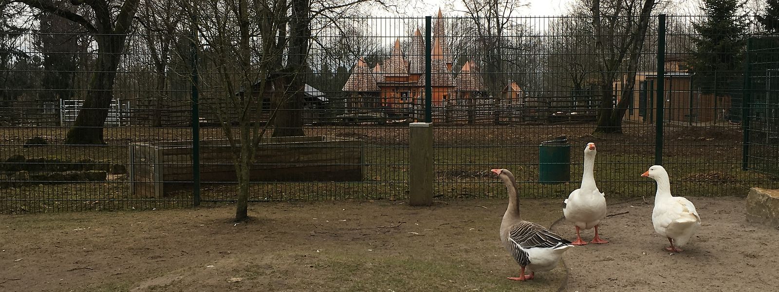 Der Tierpark auf dem Escher Galgenberg ist ganzjährig kostenlos zugänglich.