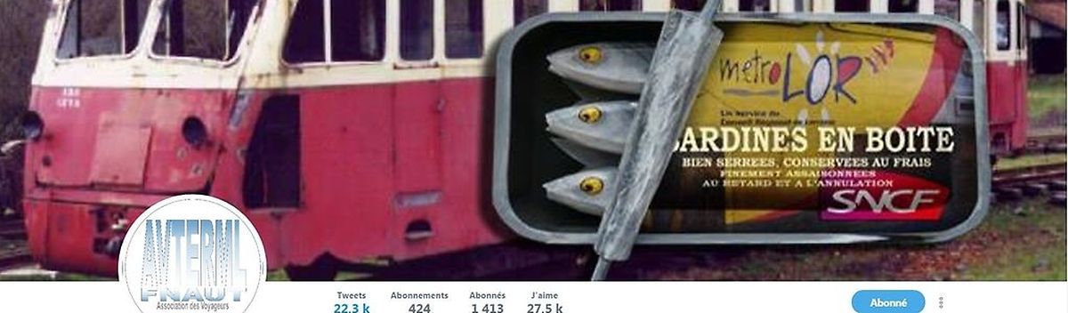 Le compte Twitter d'AVTERML donne le ton: humour dans la présentation et informations relayées tout au long de la journée par plusieurs bonnes volontés!