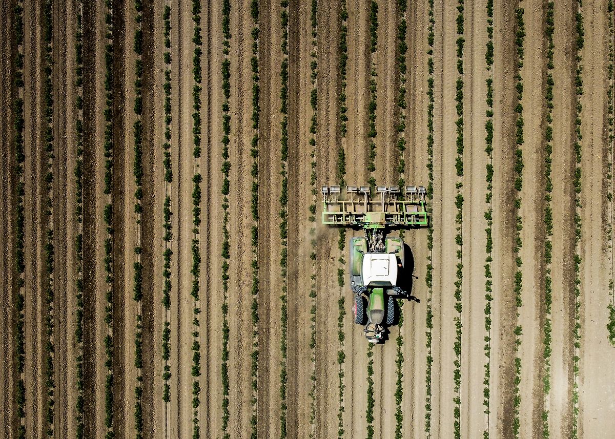 Os perigos da salinidade já se fazem sentir na agricultura da região de Lisboa. E o sal continua a subir o rio.