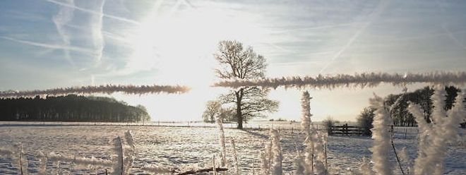 Solch idyllische Schneelandschaftsbilder wird es an Weihnachten wohl kaum geben, sagen die Meteorologen.