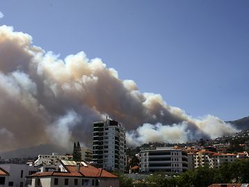 Incêndios: Chamas chegaram às portas da cidade do Funchal