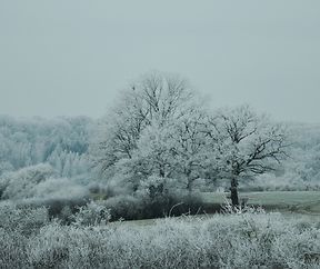 ganz in Weiss