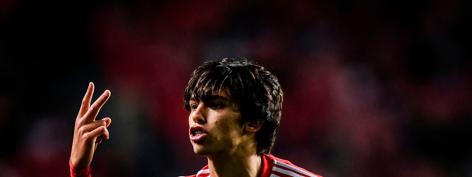 Avançado benfiquista não vai estar na Polónia ao serviço da seleção portuguesa.