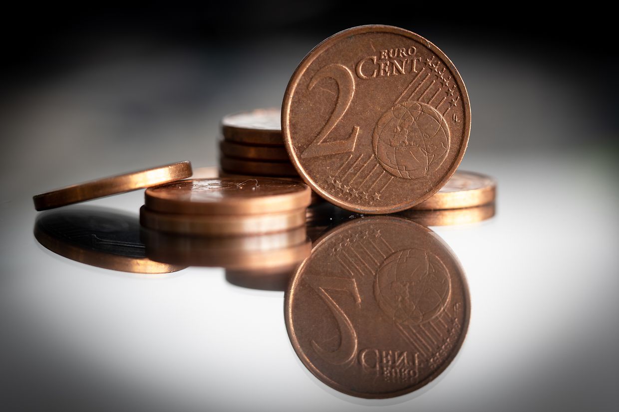 Test shoot 60 mm macro - Sanem -  - 02/03/2020 - photo: claude piscitelli