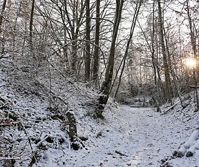 Single photo enhanced with easyHDR 3.16: 623_0399.JPG