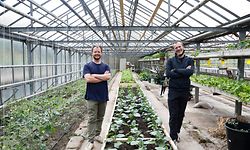 Danny Hutchines (links) und Senad Alic haben sich viel körperliche Arbeit aufgehalst. In der Saison stehen sie oft an sieben Tagen in der Woche auf dem Feld oder im Treibhaus.