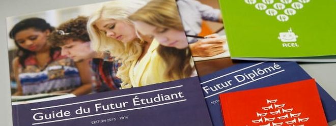 Die Ratgeber der Acel sind unumgänglich.