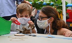 (FILES) In this file photo teachers, students and parents participate in an outdoor learning demonstration for NYC schools in front of the Patrick F. Daly public school (P.S. 15) on September 02, 2020 in the Brooklyn borough of New York City. - New York Mayor Bill de Blasio said October 4, 2020 he planned to put nine neighborhoods back under tight shutdowns as Covid-19 cases rise in the city, which had largely controlled the pandemic after a catastrophic outbreak.
"Today, unfortunately, is not a day for celebration," de Blasio said, announcing he would ask to close nonessential businesses and all schools in nine neighborhoods of Brooklyn and Queens. (Photo by Angela Weiss / AFP)