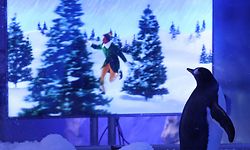 30.11.2020, Großbritannien, London: Ein Pinguin steht im «Sea Life London Aquarium» an einer Glasscheibe, vor der ein Bildschirm für die Pinguine aufgebaut ist, auf dem ein Weihnachtsfilm läuft. Foto: Yui Mok/PA Wire/dpa +++ dpa-Bildfunk +++