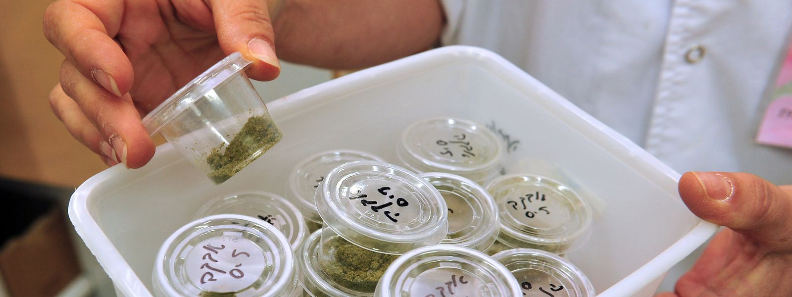 Le pays dispose actuellement d'une autorisation à hauteur de 270 kg d'importation de cannabis à usage thérapeutique.