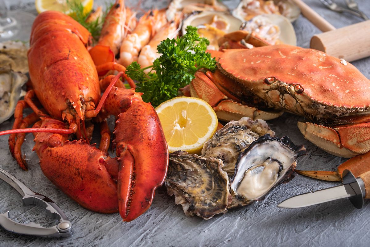 Freshly prepared seafood platters are pricey at Brasserie Guillaume, but worth it