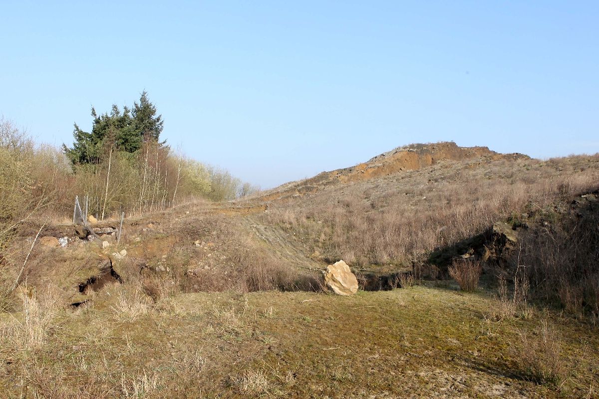 Die Monnericher Bauschuttdeponie ist instabil. Warum die Abraumhalde ins Rutschen geriet, müssen Untersuchungen klären.