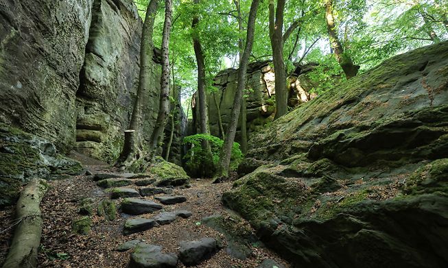 It's not all 20km hikes, you can take a leisurely stroll of less than 7km in many of Luxembourg's areas of outstanding beauty