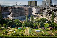 Auch drei Einwohner des Ban de Gasperich bewirtschaften schon eine Parzelle in der Gartenanlage. 