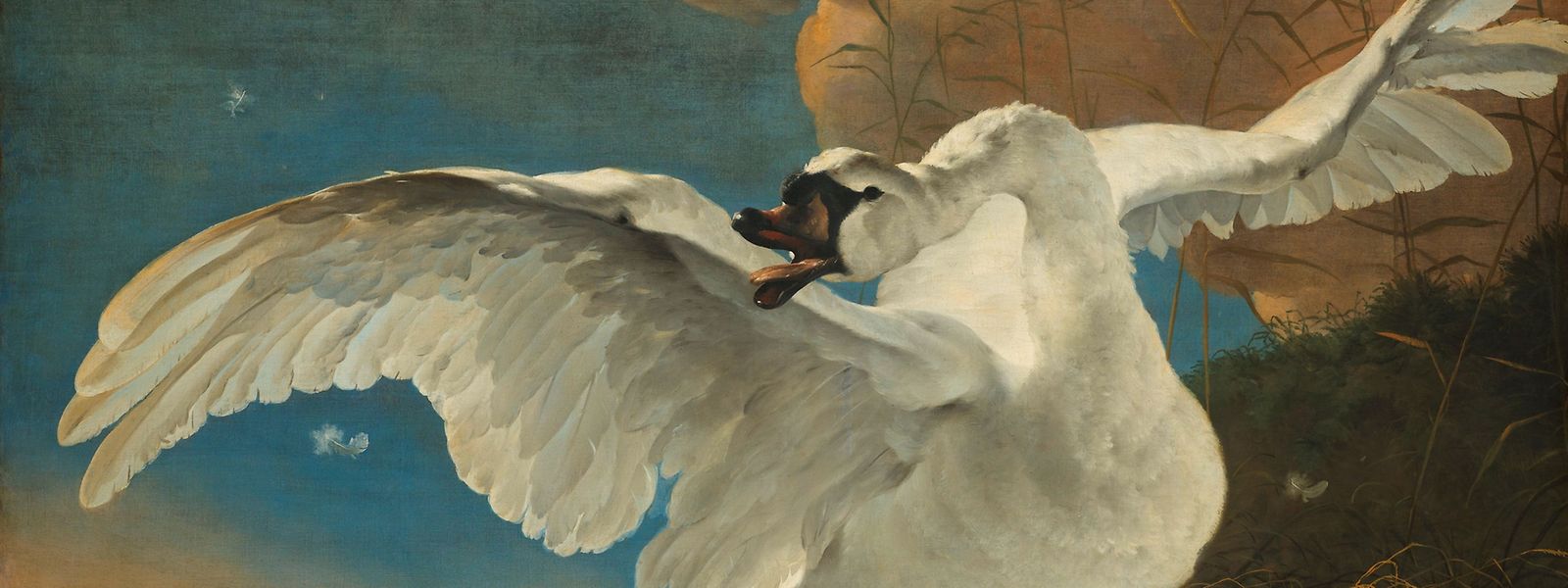 Jan Asselijn malte auf eine Allegorie von Johan de Witt circa 1650 „The Threatened Swan“, bei dem der Schwan als Symbol für die Niederlande eingesetzt wird.