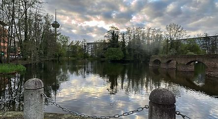 Spiegelungen im Stadtparksee