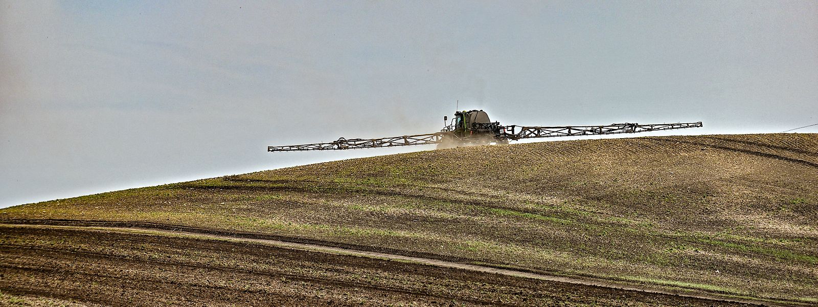 Die Ukraine zählt wie hier in der Region Saporischschja zu den größten Getreideproduzenten der Welt