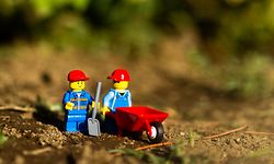 Bausteine auf Basis von Zuckerrohr und anderen nachhaltigen Stoffen sollen die herkömmlichen Klötze nach und nach ersetzen.